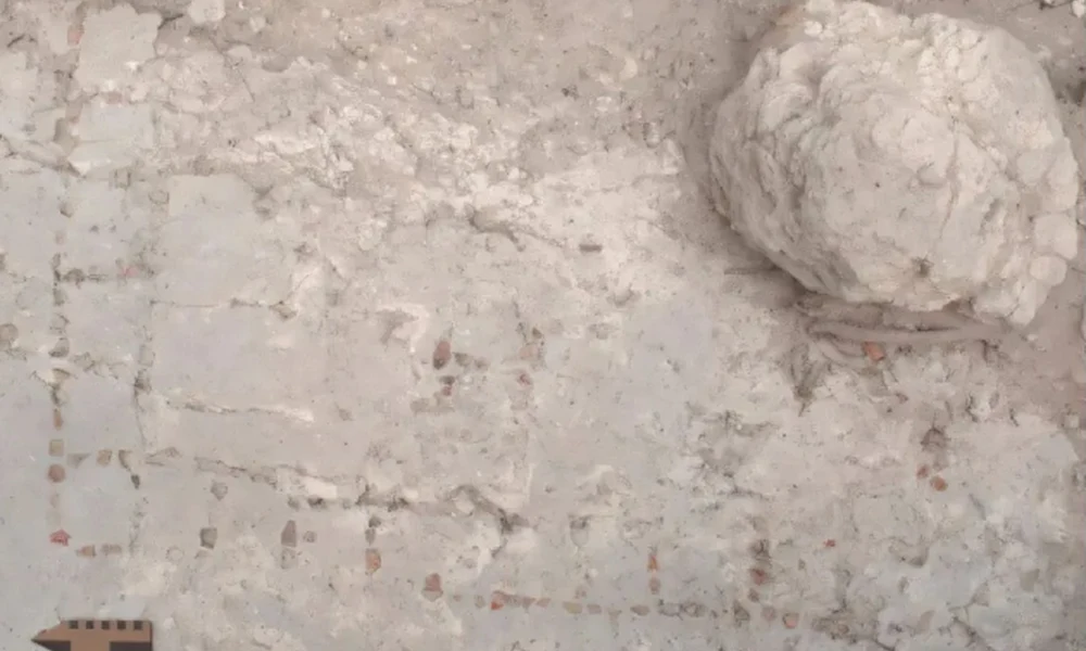 (Forrás: Latin American Antiquity)
