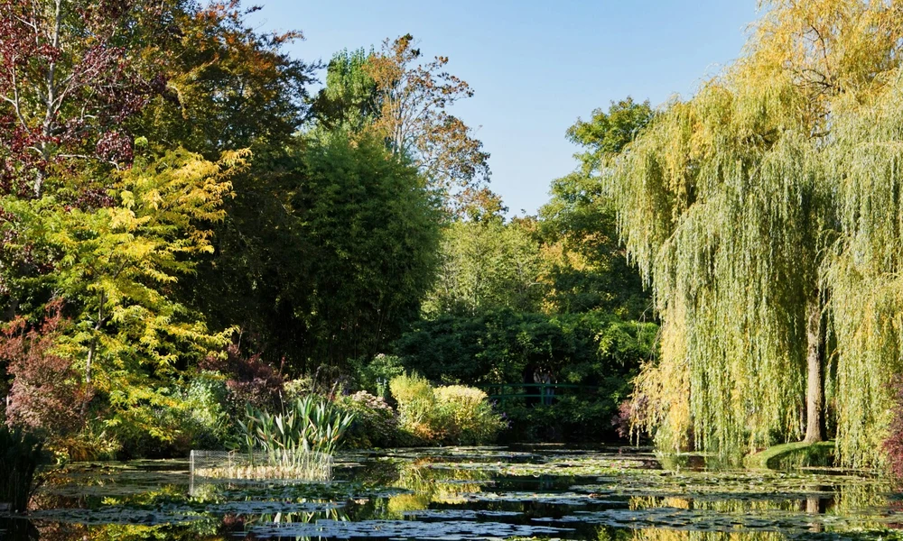 Kép Monet giverny-i kertjéről 