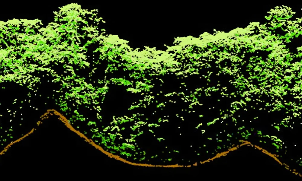 Egy LiDAR pontprofil két ősi maja építmény tetején növő fákat ábrázol Belize északnyugati részén. Fotó: Exeteri Egyetem