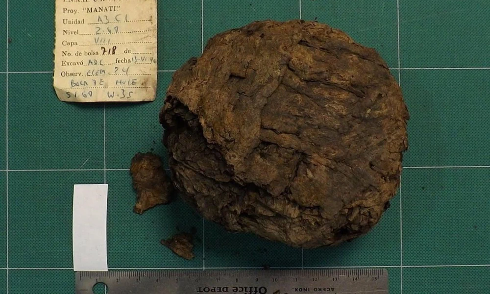 Az El Manatí lelőhelyen előkerült több mint 3600 éves olmék gumilabda