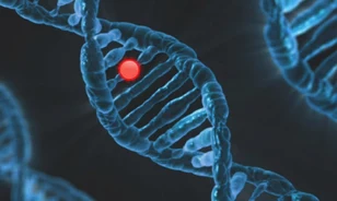 Ismeretlen emberelődök genetikai nyomait fedezték fel a modern emberben