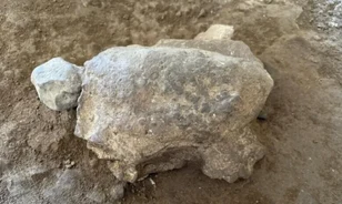 Faragott teknősöknek hódoltak egy őskori barlangban