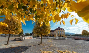 Lovasfesztivállal és mesebeli ősszel vár Schloss Hof