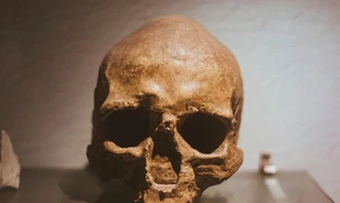 Tényleg a Homo sapiens okozhatta a neandervölgyiek kihalását