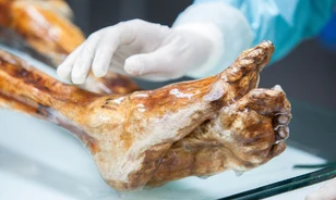 Harmincöt éve fedezték fel Ötzi rézkori jégmúmiáját