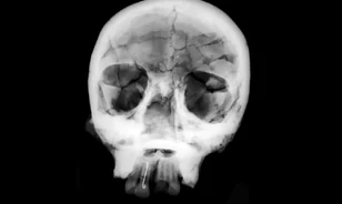 Újraelemezték egy üzbegisztáni neandervölgyi gyermek DNS-ét
