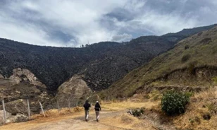 Inka lépcsősort fedett fel egy ecuadori erdőtűz