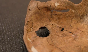 Fából készült dárda végzett egy iraki neandervölgyi emberrel