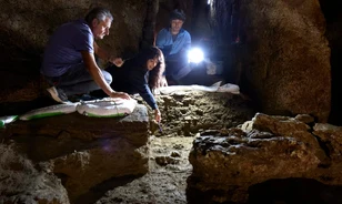 Neandervölgyi DNS-t vizsgálnak a spanyol régészek