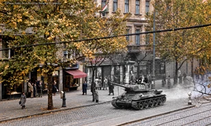1956 nyomában: filmek, kiállítások és személyes történetek