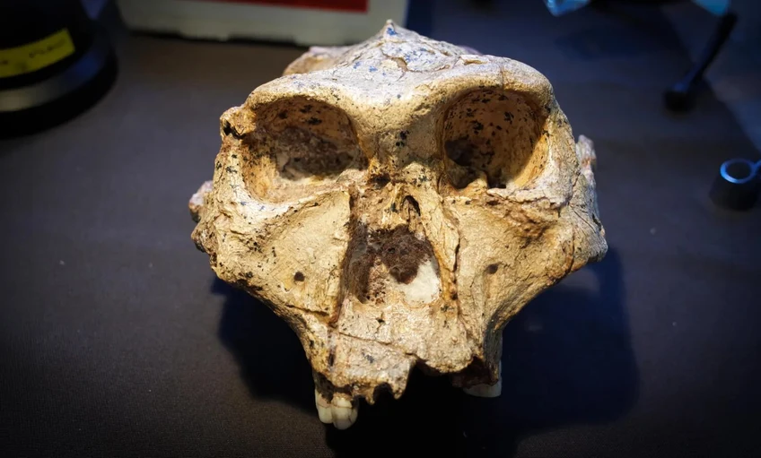 Módosíthatják az emberi evolúció biológiai osztályozási rendszerét