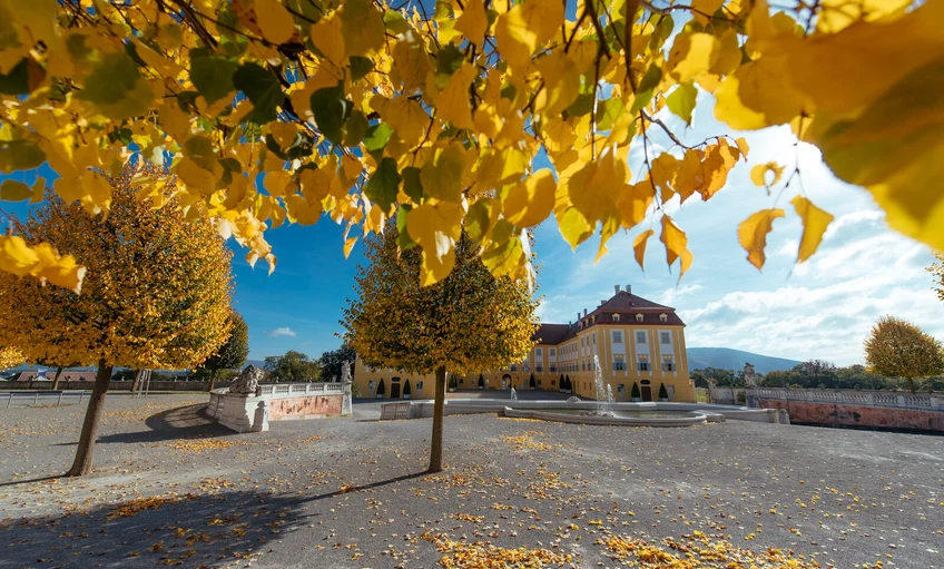 Lovasfesztivállal és mesebeli ősszel vár Schloss Hof