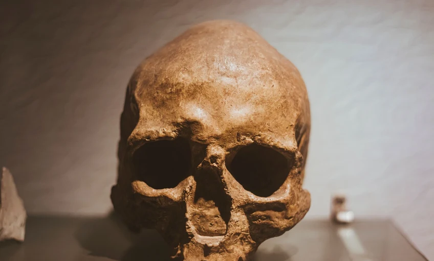 Tényleg a Homo sapiens okozhatta a neandervölgyiek kihalását