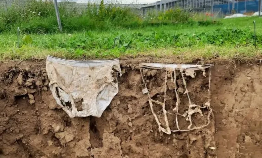 Alsónadrágokkal mérték meg a talaj biológiai aktivitását Svájcban