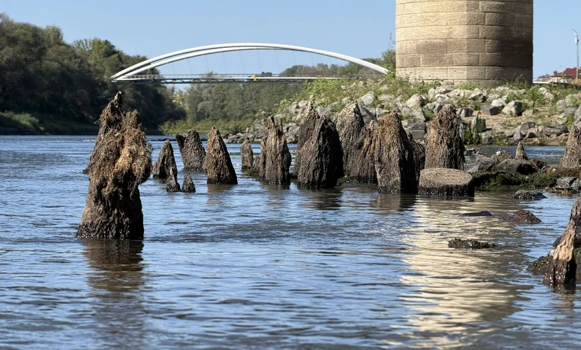 Újabb cölöpöket találtak a török kori Tisza-hídból