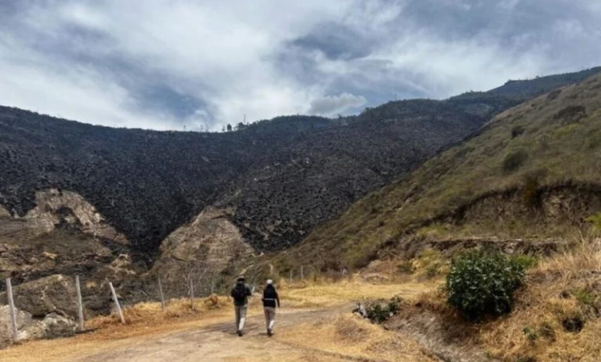 Inka lépcsősort fedett fel egy ecuadori erdőtűz