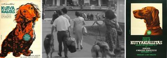 A képösszeállítás két oldalán az 1965-ös és 1966-os nemzetközi kutyakiállítás plakátja, a középső felvételen az 1966-os kiállítás résztvevői igyekeznek a rendezvény helyszínére, a résztvevő országok zászlóival díszített városligeti kiállítási csarnokba (11)