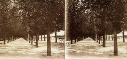1900, Balatonfüred, parti sétány, jobbra a távolban a móló