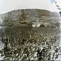 1908, Badacsony