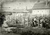 1908, Siófok, halszárítás