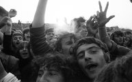 1981, Hajógyári-sziget, Szuperkoncert