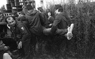 1981, Hajógyári-sziget, Szuperkoncert