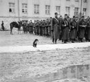 1941, sorakozón a II. utászzászlóalj. "Bütyök igazodj!"