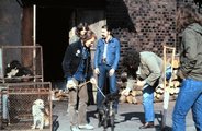 1981, a felvétel a Kopaszkutya című film forgatásakor készült. Középen Deák Bill Gyula, az ajtóban Földes László (Hobó) és Schuster Lóránt.