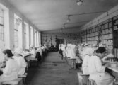 Munkában a gyógyszergyártók Richter Gedeon gyógyszergyárában (1930)
