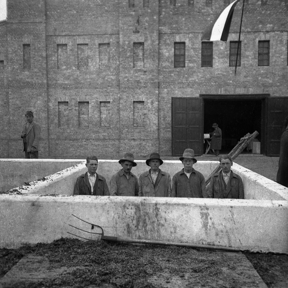 Szőlőtaposók sorakozója a betonkádban (1932) (Fortepan / Antal Dániel)