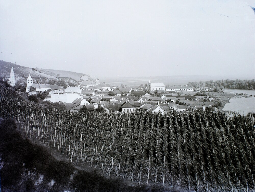 Tokaji szőlőhegy a település látképével és a Bodrog folyóval (1908) (Fortepan / Magyar Földrajzi Múzeum / Erdélyi Mór cége)